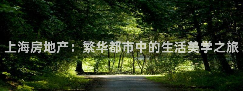新宝5蒋7O667：上海房地产：繁华都市中的生活美学之旅