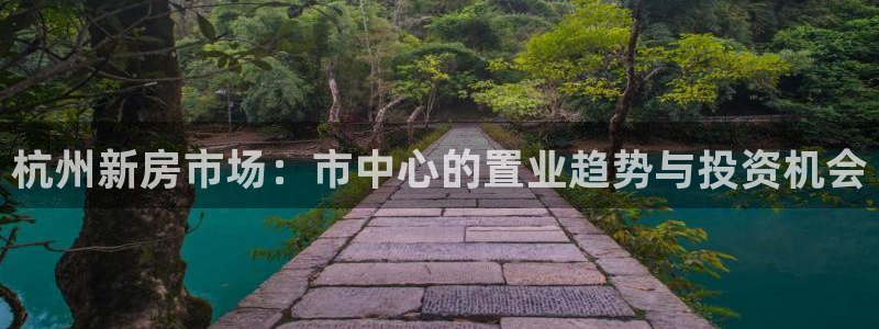 新宝奇迹GG5：杭州新房市场：市中心的置业趋势与投资机会