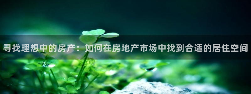 新宝5在哪里：寻找理想中的房产：如何在房地产市场中找到合适的