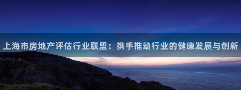 新宝5平台登录注册：上海市房地产评估行业联盟：携手推动行业的