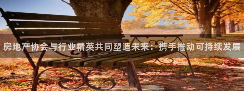新宝5怎么代理：房地产协会与行业精英共同塑造未来：携手推动可