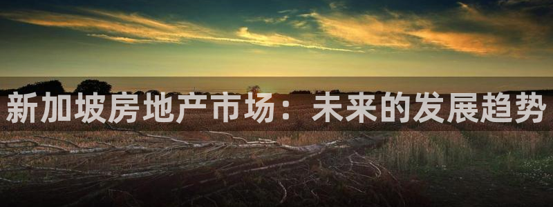 新宝5 - 测速登陆：新加坡房地产市场：未来的发展趋势