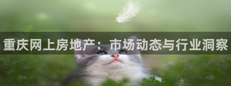 新宝5彩票是正规平台吗：重庆网上房地产：市场动态与行业洞察