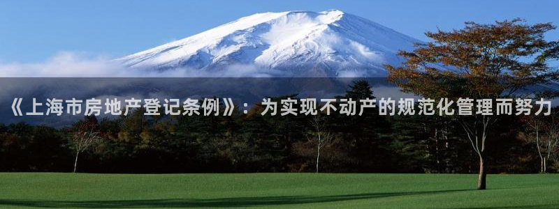 新宝5测登录：《上海市房地产登记条例》：为实现不动产的规范化