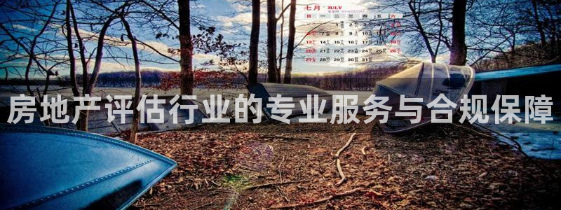 新宝5娱乐代理：房地产评估行业的专业服务与合规保障