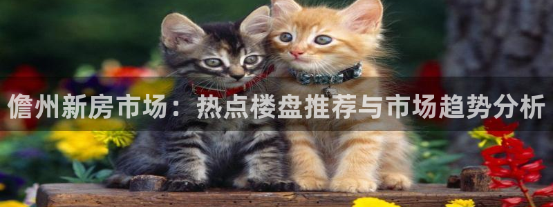 新宝5策略：儋州新房市场：热点楼盘推荐与市场趋势分析
