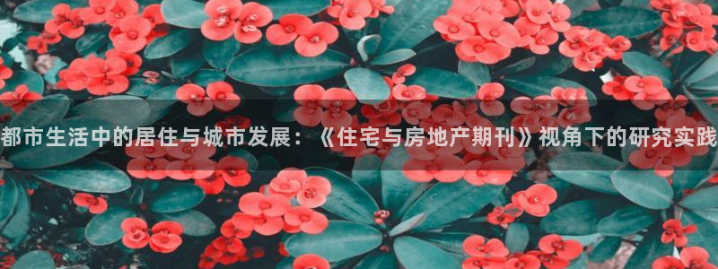 新宝m2O5O5O：都市生活中的居住与城市发展：《住宅与房地