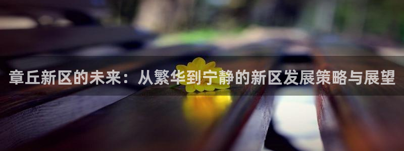新宝5娱乐都：章丘新区的未来：从繁华到宁静的新区发展策略与展