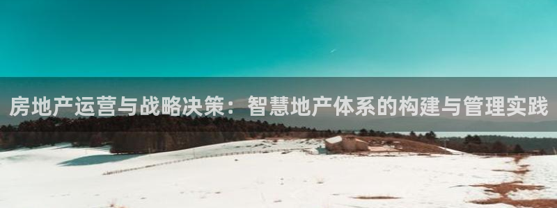 新宝娱乐5：房地产运营与战略决策：智慧地产体系的构建与管理实