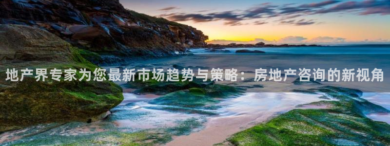 新宝5黑：地产界专家为您最新市场趋势与策略：房地产咨询的新视