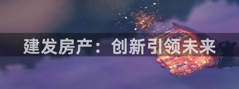 新宝股东瞧听2 5 5：建发房产：创新引领未来