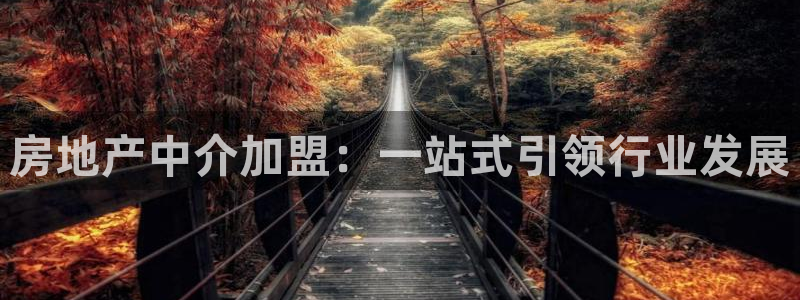 新宝5系列：房地产中介加盟：一站式引领行业发展