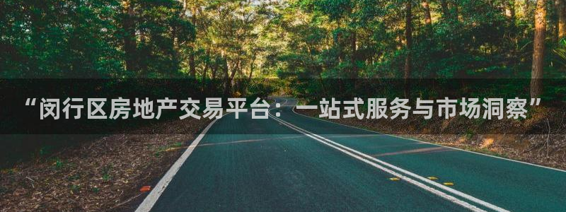 新宝5app：“闵行区房地产交易平台：一站式服务与市场洞察”
