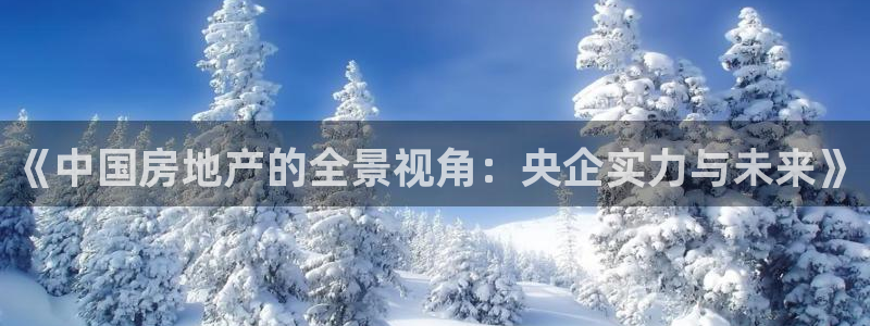 i新宝5：《中国房地产的全景视角：央企实力与未来》