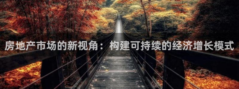 新宝5台卡：房地产市场的新视角：构建可持续的经济增长模式