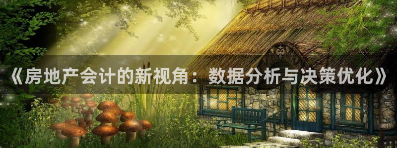 新宝5的网址：《房地产会计的新视角：数据分析与决策优化》