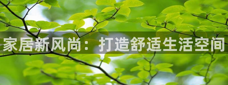 新宝5是谁：家居新风尚：打造舒适生活空间