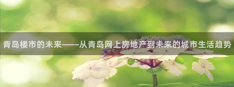 新宝新5：青岛楼市的未来——从青岛网上房地产到未来的城市生活