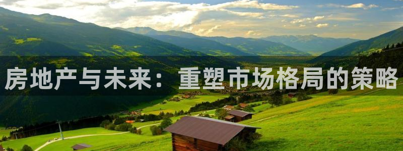 新宝5台卡：房地产与未来：重塑市场格局的策略