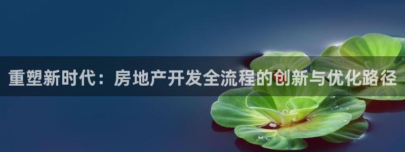 新宝5平台咋样：重塑新时代：房地产开发全流程的创新与优化路径