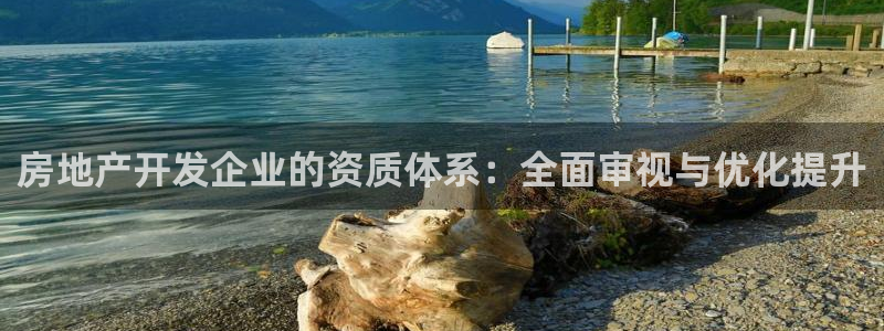 新宝5线路：房地产开发企业的资质体系：全面审视与优化提升