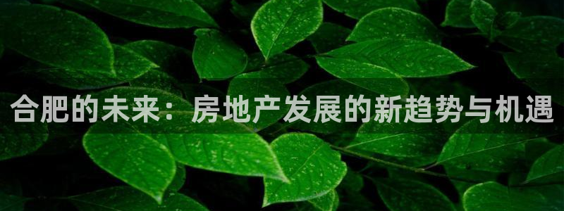 新宝5褚74OOO5：合肥的未来：房地产发展的新趋势与机遇