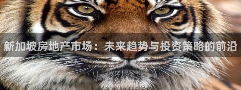 新宝5台卡：新加坡房地产市场：未来趋势与投资策略的前沿