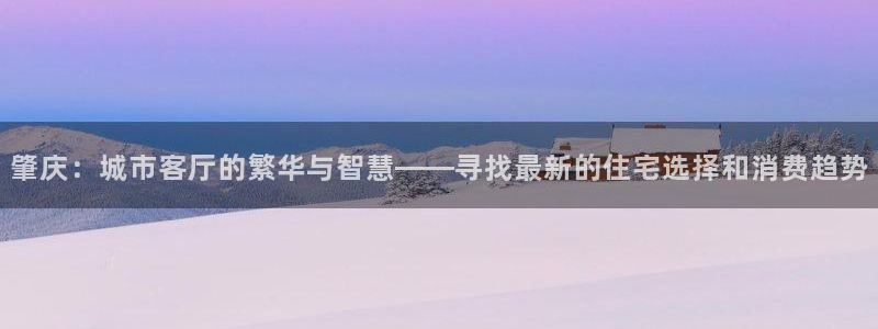 菲律宾新宝5老板：肇庆：城市客厅的繁华与智慧——寻找最新的住