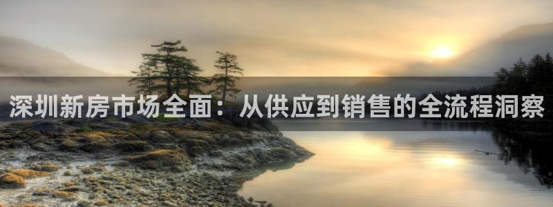新宝5账号注册：深圳新房市场全面：从供应到销售的全流程洞察
