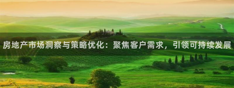 新宝5线路：房地产市场洞察与策略优化：聚焦客户需求，引领可持