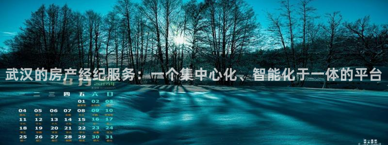 新宝5网：武汉的房产经纪服务：一个集中心化、智能化于一体的平