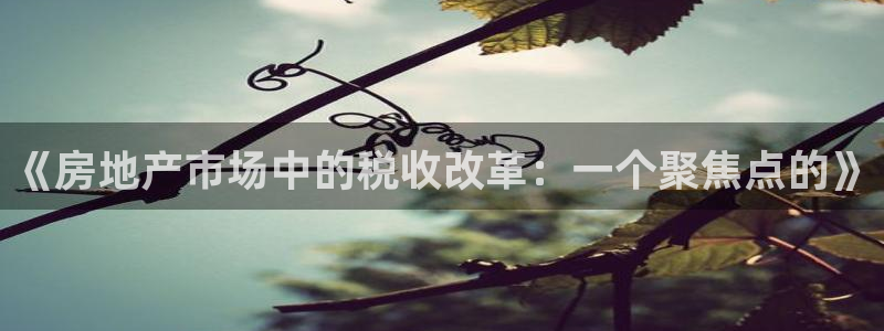 新宝5培训：《房地产市场中的税收改革：一个聚焦点的》