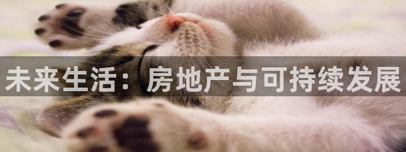 新宝5下载测试：未来生活：房地产与可持续发展