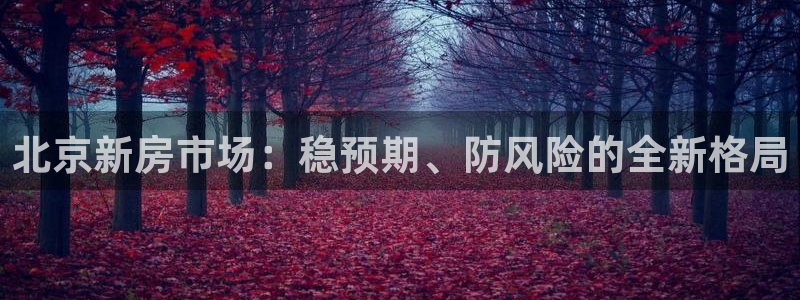新宝5官方登录入口：北京新房市场：稳预期、防风险的全新格局