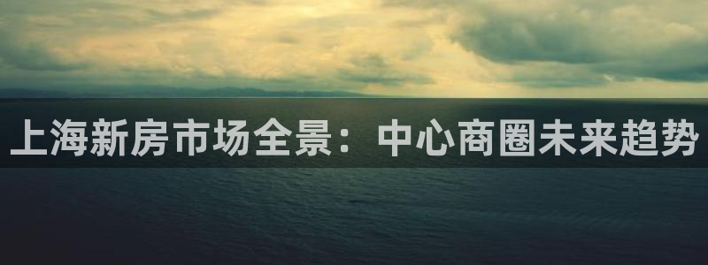 新宝5娱乐：上海新房市场全景：中心商圈未来趋势