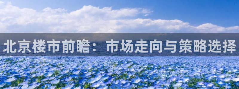 新宝5飞355051：北京楼市前瞻：市场走向与策略选择