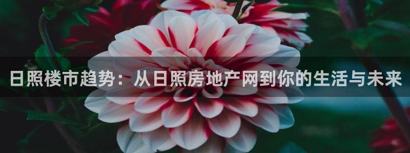 新宝5网站：日照楼市趋势：从日照房地产网到你的生活与未来