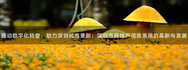 新宝5天：推动数字化转型，助力深圳城市更新：深圳市房地产信息