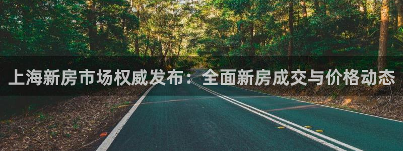 新宝5测速：上海新房市场权威发布：全面新房成交与价格动态