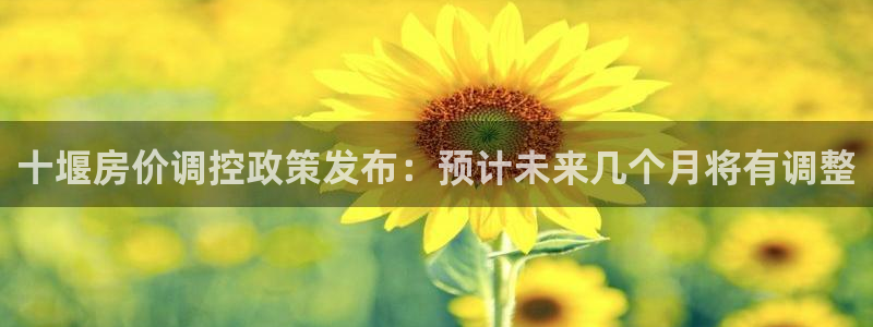 新宝5蒋74OOO5：十堰房价调控政策发布：预计未来几个月将