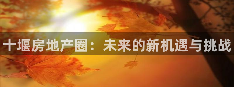 新宝5网址：十堰房地产圈：未来的新机遇与挑战