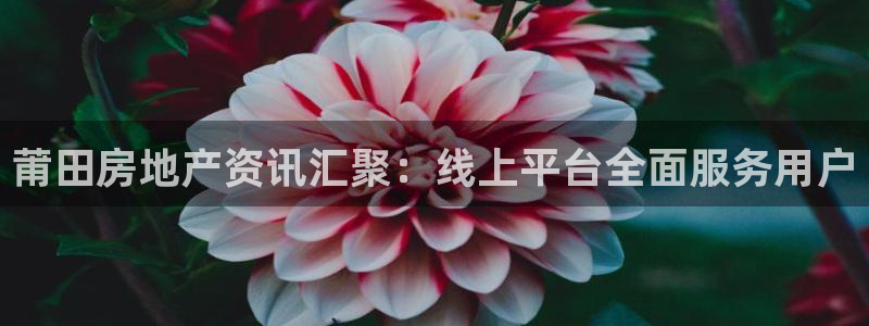 新宝5线路登录：莆田房地产资讯汇聚：线上平台全面服务用户