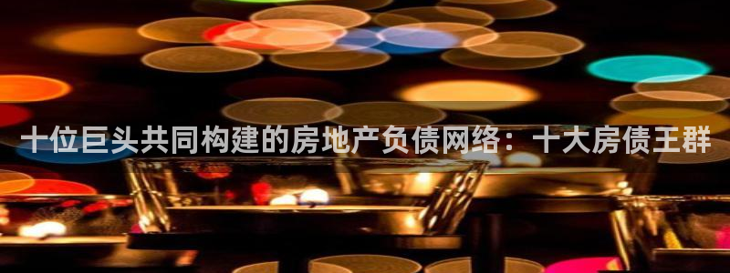 p5r新宝魔：十位巨头共同构建的房地产负债网络：十大房债王群