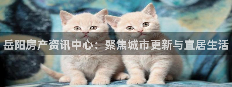 新宝5主管：岳阳房产资讯中心：聚焦城市更新与宜居生活