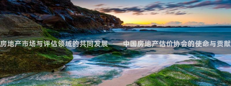 新宝5娱乐登陆：房地产市场与评估领域的共同发展——中国房地产