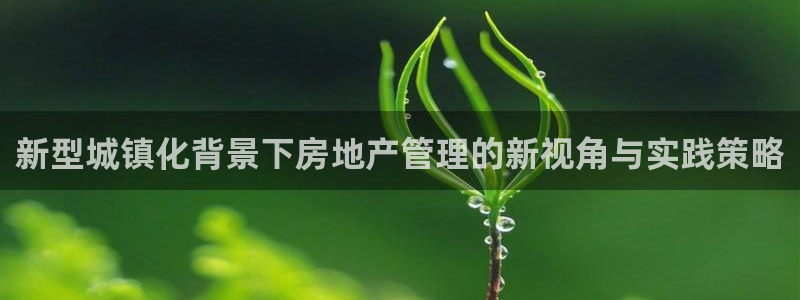 新宝5唯一：新型城镇化背景下房地产管理的新视角与实践策略