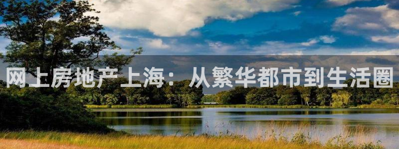 新宝5网站：网上房地产上海：从繁华都市到生活圈
