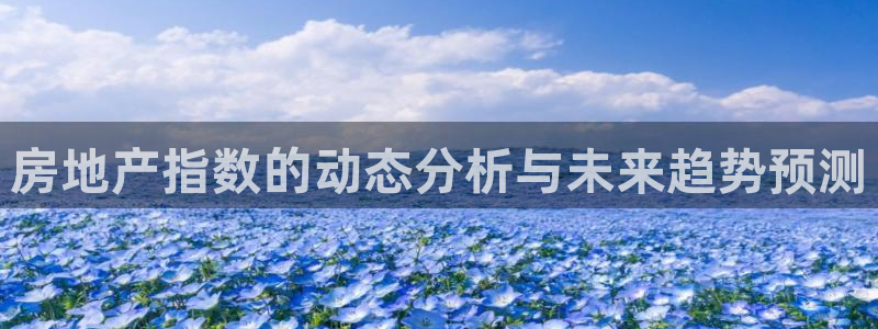 新宝5安卓版：房地产指数的动态分析与未来趋势预测