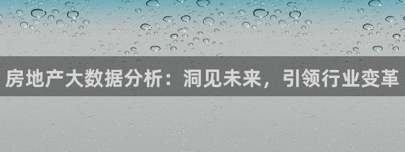 新宝5平台登录：房地产大数据分析：洞见未来，引领行业变革