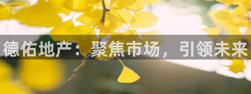 新宝5登录：德佑地产：聚焦市场，引领未来